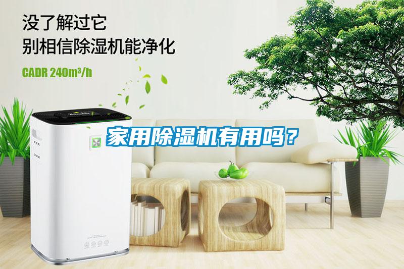 国产精品三级在线观看 家用除湿机有用吗？
