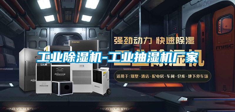 国产精品三级在线观看 工业除湿机-工业抽湿机厂家