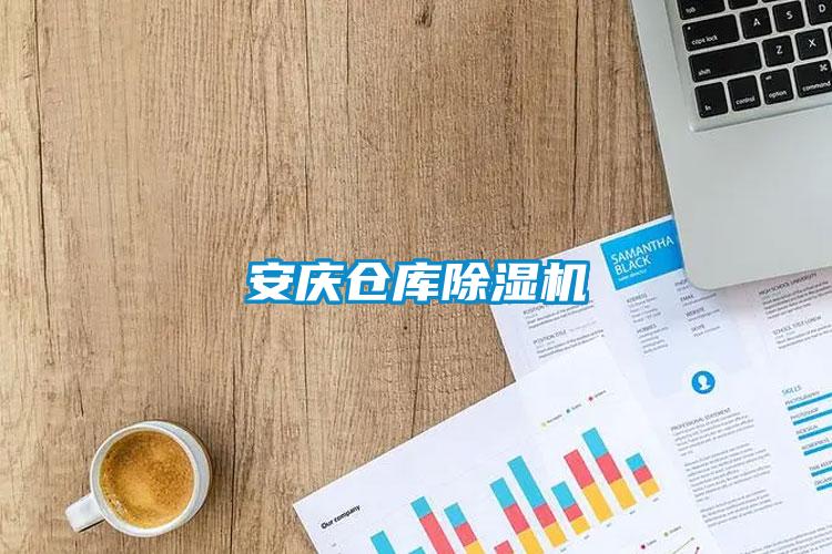 国产精品欧美激情视频 安庆仓库除湿机