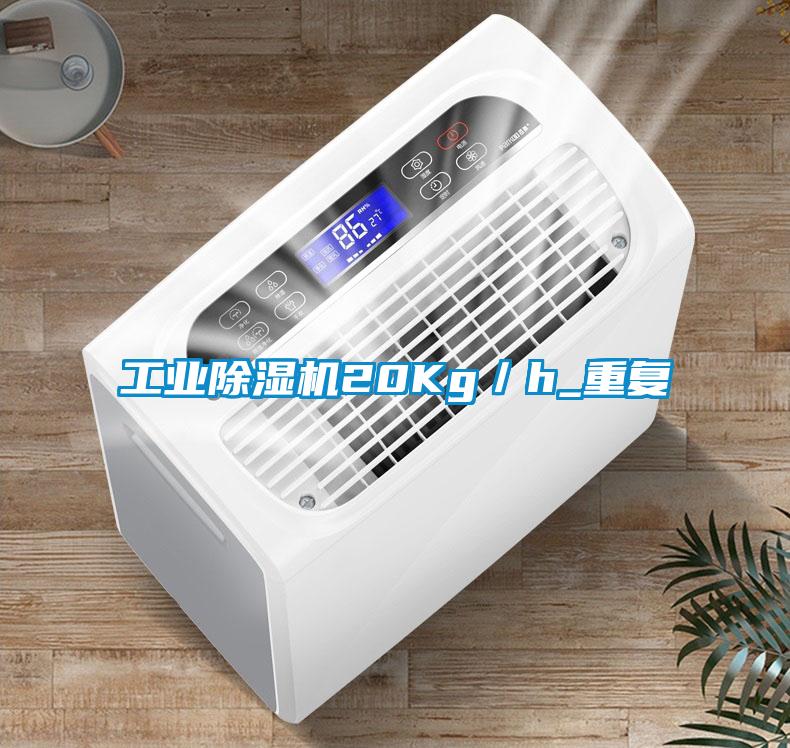 国产精品欧美激情视频 工业除湿机20Kg／h_重复