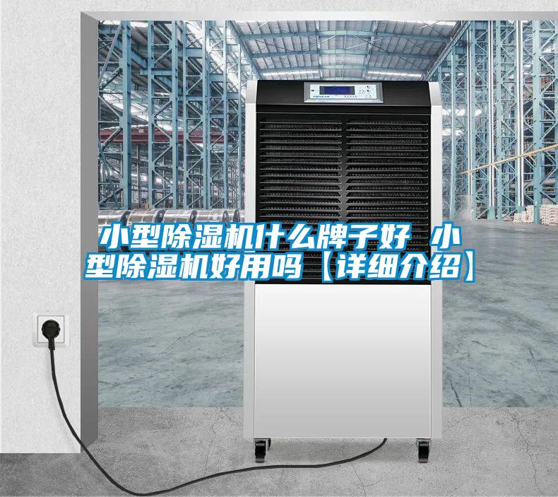 国产精品欧美激情视频 小型除湿机什么牌子好 小型除湿机好用吗【详细介绍】
