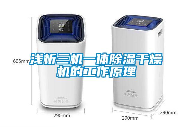 国产精品欧美激情视频 浅析三机一体除湿干燥机的工作原理