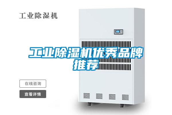 国产精品欧美激情视频 工业除湿机优秀品牌推荐