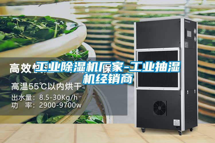 国产精品三级在线观看 工业除湿机厂家-工业抽湿机经销商