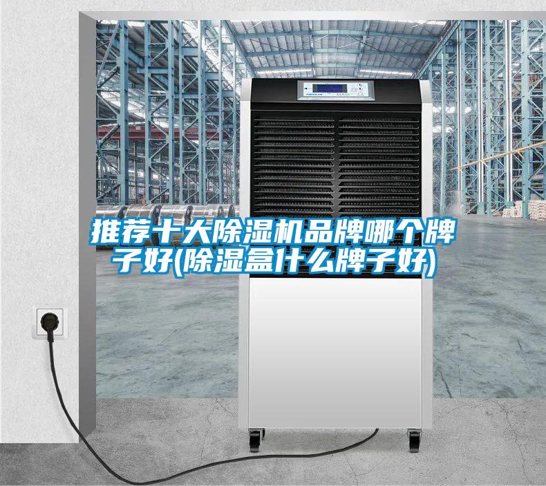 国产精品欧美激情视频 推荐十大除湿机品牌哪个牌子好(除湿盒什么牌子好)