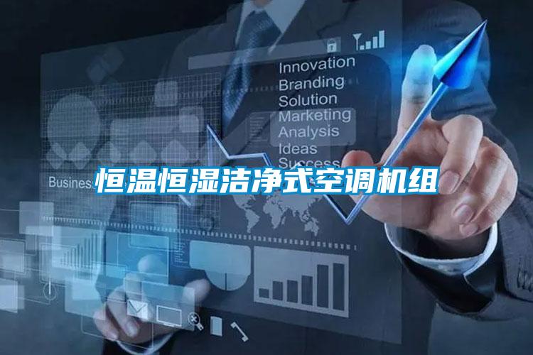 国产精品欧美激情视频 恒温恒湿洁净式空调机组