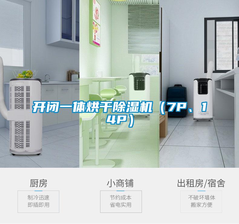国产精品欧美激情视频 开闭一体烘干除湿机（7P、14P）