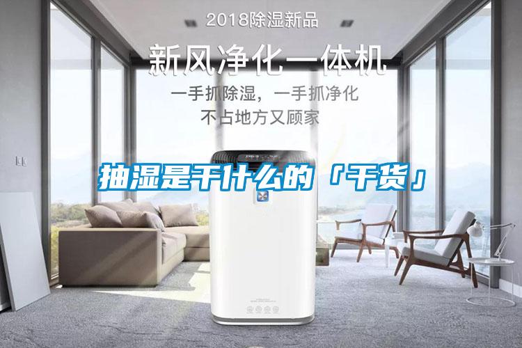国产精品欧美激情视频 抽湿是干什么的「干货」