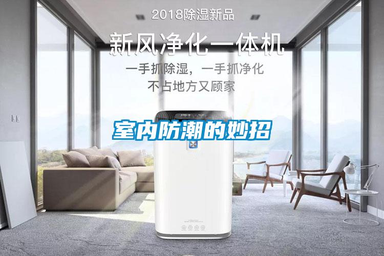 国产精品三级在线观看 室内防潮的妙招