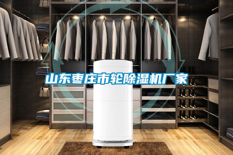 国产精品三级在线观看 山东枣庄市轮除湿机厂家
