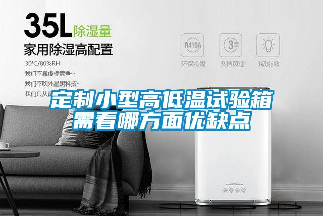 国产精品欧美激情视频 定制小型高低温试验箱需看哪方面优缺点