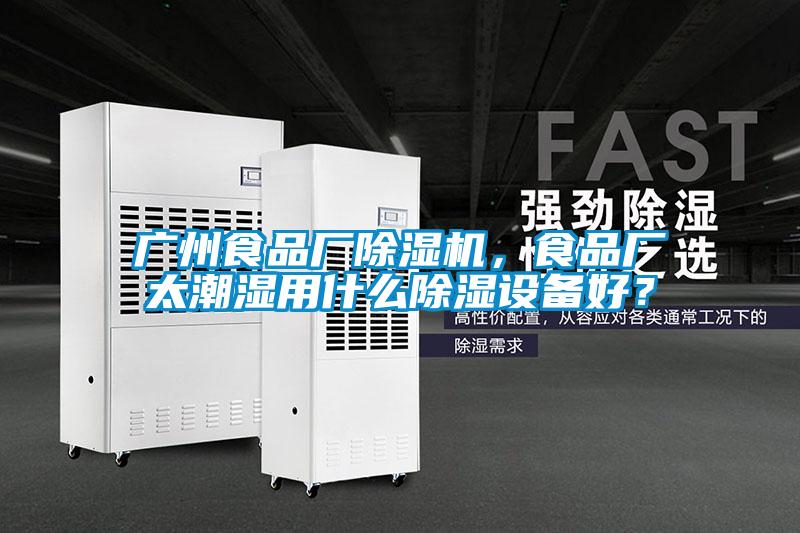 国产精品欧美激情视频 广州食品厂除湿机，食品厂太潮湿用什么除湿设备好？