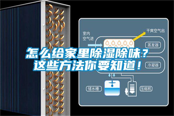 国产精品欧美激情视频 怎么给家里除湿除味？这些方法你要知道！
