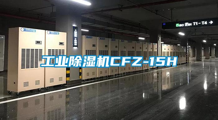国产精品欧美激情视频 工业除湿机CFZ-15H