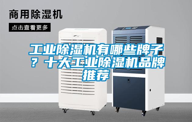 国产精品三级在线观看 工业除湿机有哪些牌子？十大工业除湿机品牌推荐