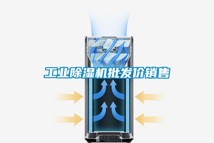 国产精品探花在线观看 工业除湿机批发价销售