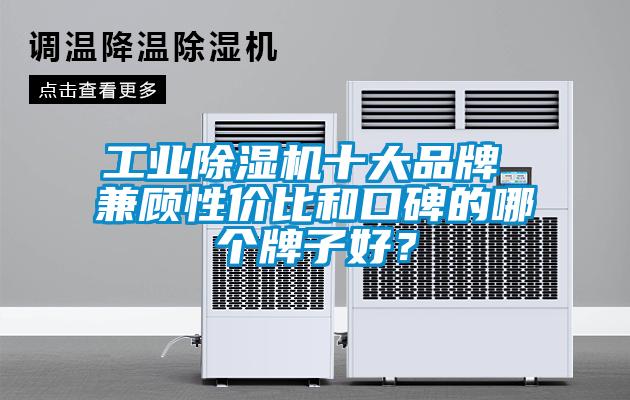 国产精品三级在线观看 工业除湿机十大品牌 兼顾性价比和口碑的哪个牌子好？