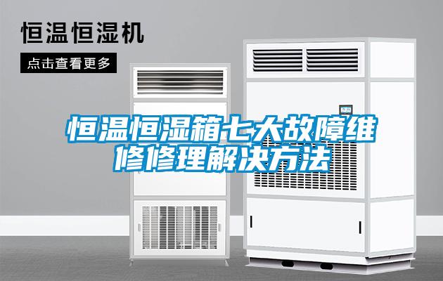 国产精品三级在线观看 恒温恒湿箱七大故障维修修理解决方法
