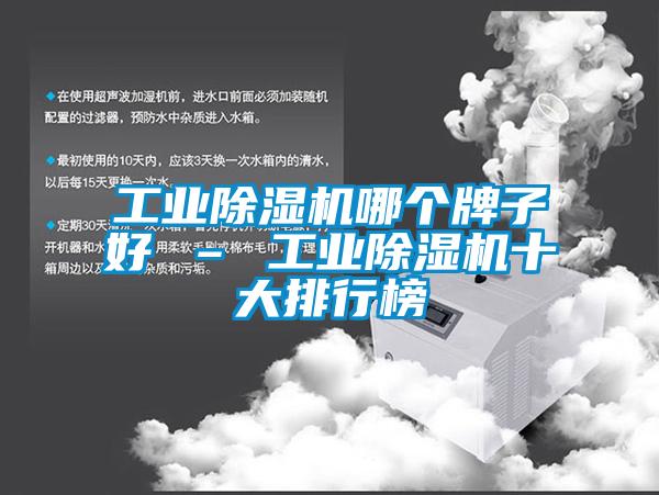 国产精品欧美激情视频 工业除湿机哪个牌子好 – 工业除湿机十大排行榜