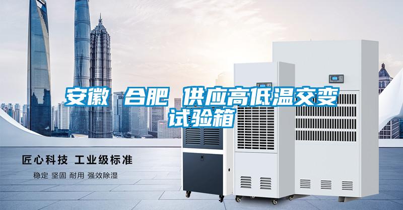 国产精品三级在线观看 安徽 合肥 供应高低温交变试验箱
