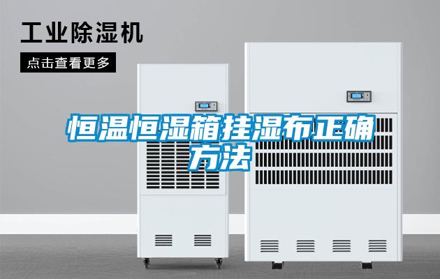 国产精品三级在线观看 恒温恒湿箱挂湿布正确方法