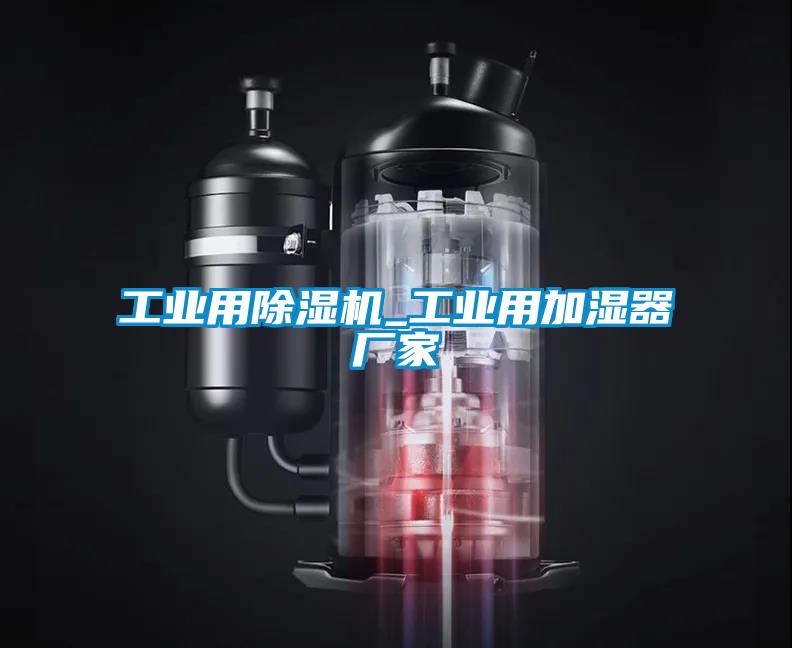 国产精品三级在线观看 工业用除湿机_工业用加湿器厂家