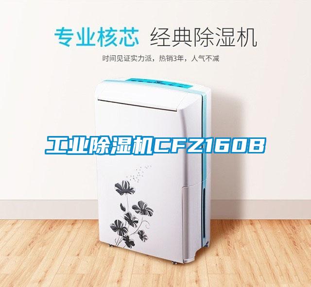 国产精品三级在线观看 工业除湿机CFZ160B