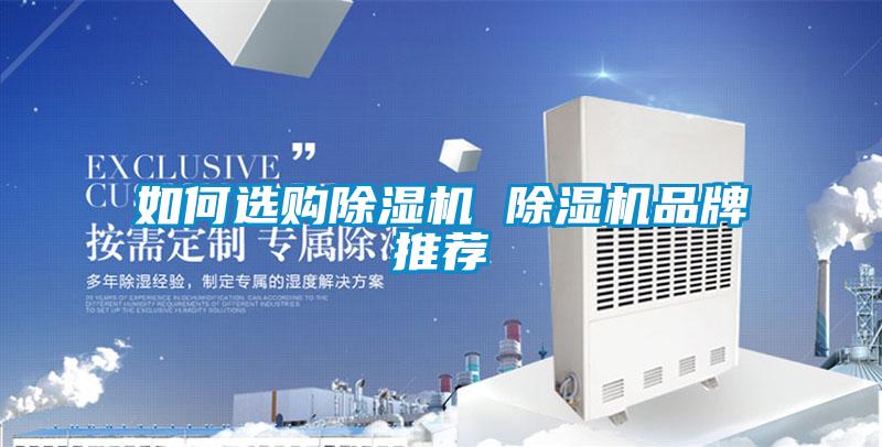 国产精品欧美激情视频 如何选购除湿机 除湿机品牌推荐