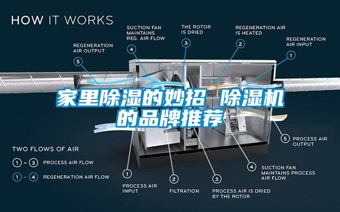 国产精品探花在线观看 家里除湿的妙招 除湿机的品牌推荐