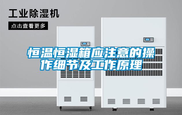 国产精品三级在线观看 恒温恒湿箱应注意的操作细节及工作原理