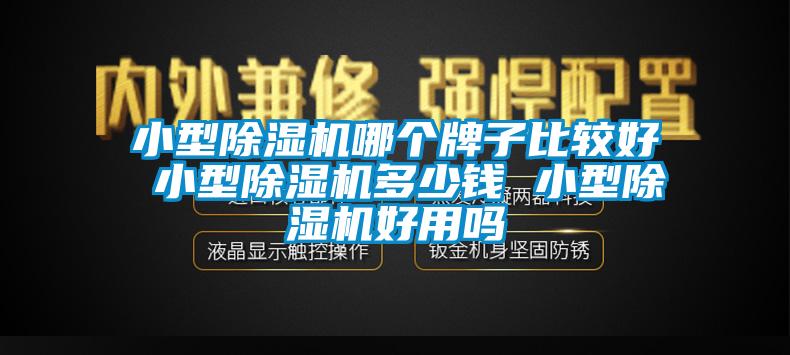 国产精品三级在线观看 小型除湿机哪个牌子比较好 小型除湿机多少钱 小型除湿机好用吗