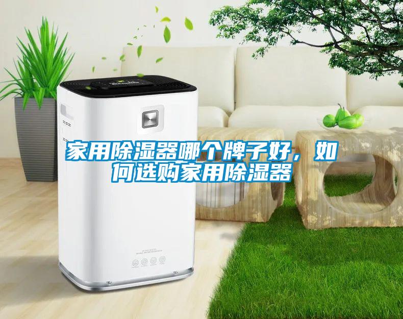 国产精品探花在线观看 家用除湿器哪个牌子好，如何选购家用除湿器