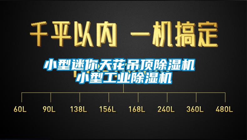国产精品探花在线观看 小型迷你天花吊顶除湿机 小型工业除湿机
