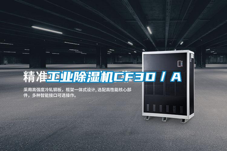 国产精品欧美激情视频 工业除湿机CF3D／A