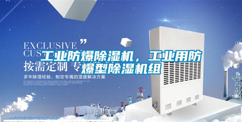 国产精品欧美激情视频 工业防爆除湿机，工业用防爆型除湿机组