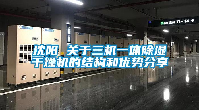 国产精品三级在线观看 沈阳 关于三机一体除湿干燥机的结构和优势分享