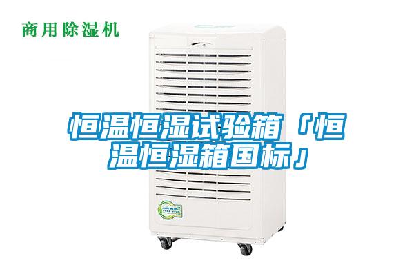 国产精品三级在线观看 恒温恒湿试验箱「恒温恒湿箱国标」