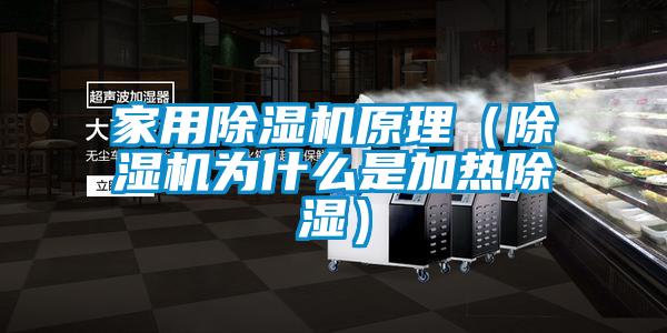 国产精品欧美激情视频 家用除湿机原理（除湿机为什么是加热除湿）