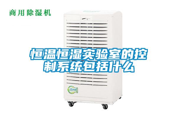 国产精品探花在线观看 恒温恒湿实验室的控制系统包括什么