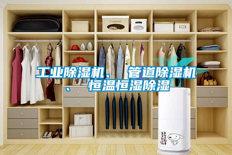 国产精品欧美激情视频 工业除湿机、 管道除湿机、 恒温恒湿除湿