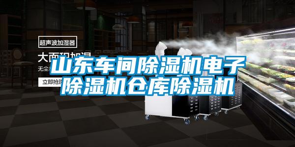 国产精品欧美激情视频 山东车间除湿机电子除湿机仓库除湿机