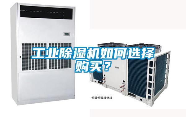 国产精品三级在线观看 工业除湿机如何选择购买？