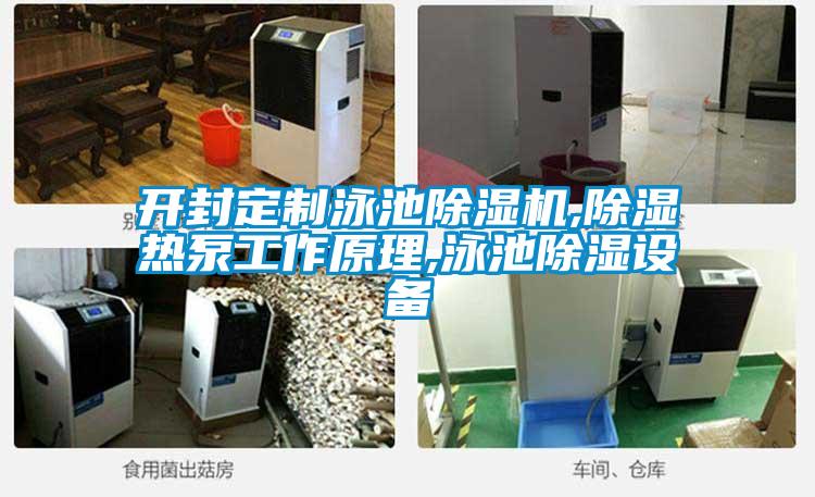国产精品欧美激情视频 开封定制泳池除湿机,除湿热泵工作原理,泳池除湿设备