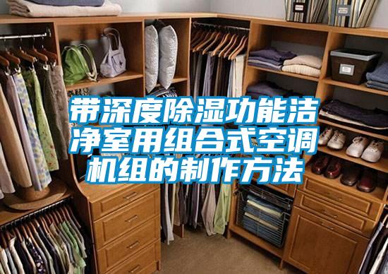 国产精品三级在线观看 带深度除湿功能洁净室用组合式空调机组的制作方法