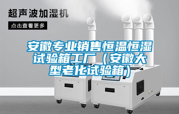 国产精品欧美激情视频 安徽专业销售恒温恒湿试验箱工厂（安徽大型老化试验箱）