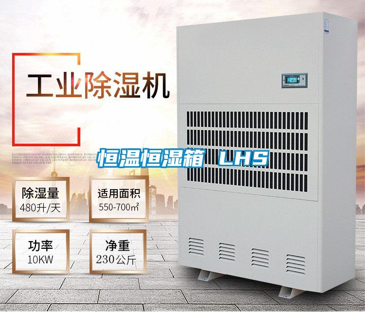 国产精品欧美激情视频 恒温恒湿箱 LHS