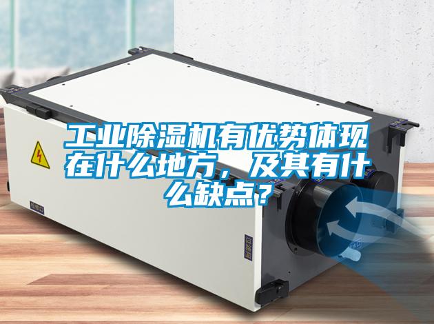 国产精品探花在线观看 工业除湿机有优势体现在什么地方，及其有什么缺点？