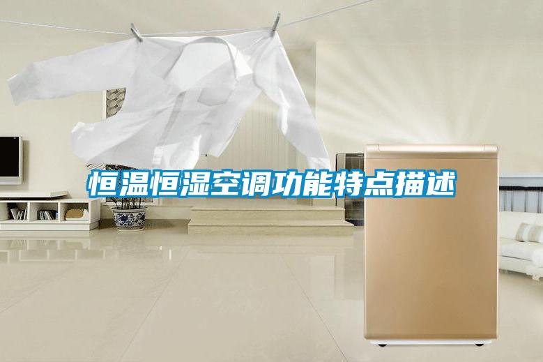 国产精品三级在线观看 恒温恒湿空调功能特点描述