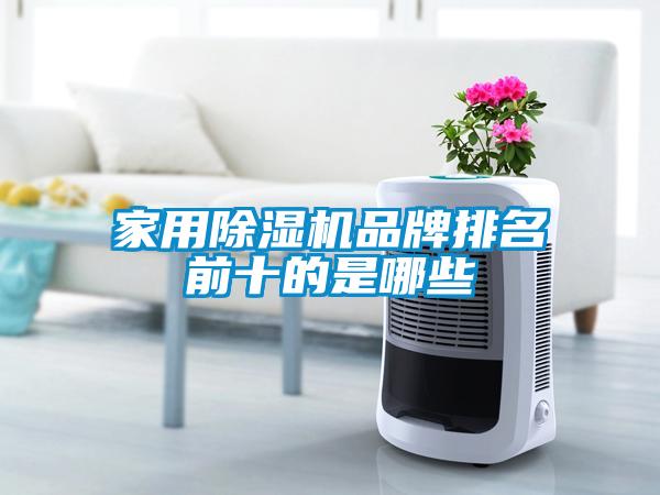 国产精品三级在线观看 家用除湿机品牌排名前十的是哪些