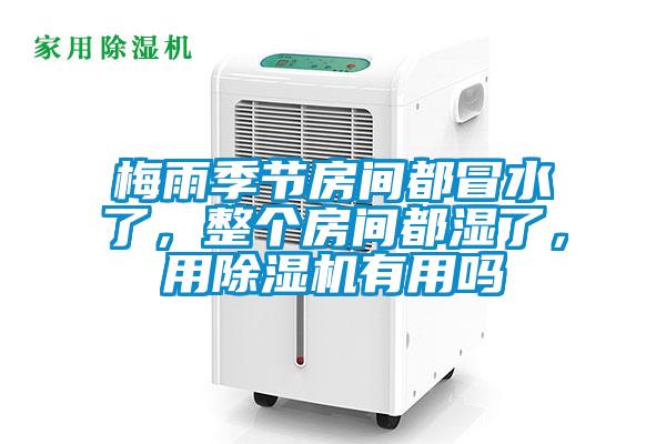 国产精品三级在线观看 梅雨季节房间都冒水了，整个房间都湿了，用除湿机有用吗